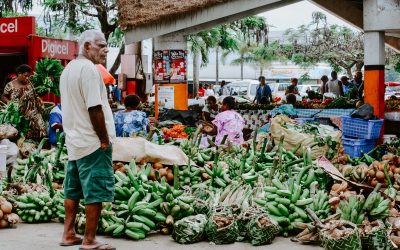 Supporting Vanuatu’s Covid-19 education response