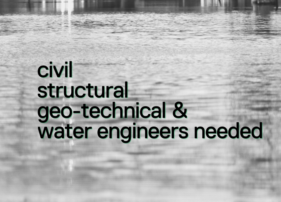 Volunteer engineers needed for the New South Wales flood response