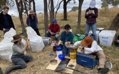 Exploring opportunities for native plants at the ‘Nguluway’ Local Design Summit