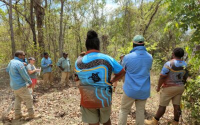 The power of partnerships: unlocking access to clean water on Lama Lama Country