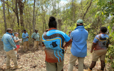 EWB Australia establishes local government partnership model with Walgett Shire Council